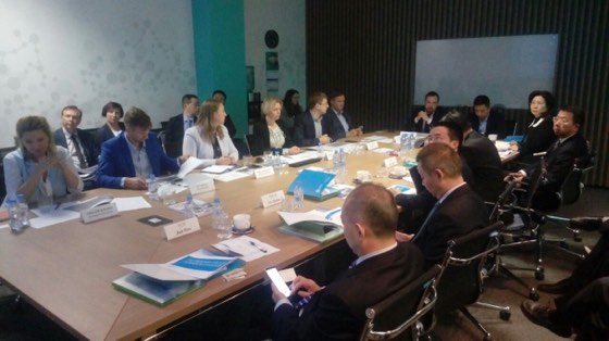Meridian Bridge — client meeting, interpretation, or delegation